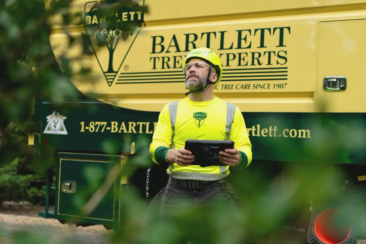 A Bartlett arborist with a tablet in front of a Bartlett truck