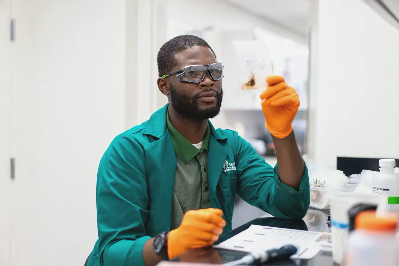 A Bartlett researcher in the laboratory examining a sample slide